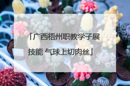 广西梧州职教学子展技能 气球上切肉丝