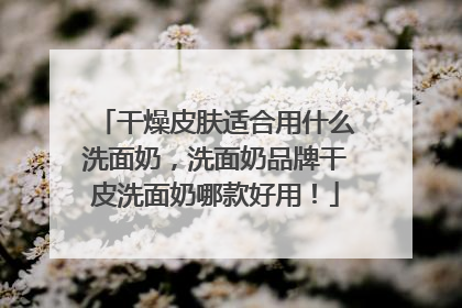 干燥皮肤适合用什么洗面奶，洗面奶品牌干皮洗面奶哪款好用！