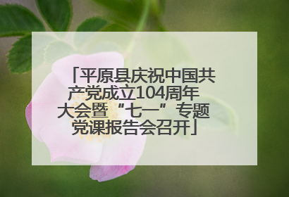 平原县庆祝中国共产党成立104周年大会暨“七一”专题党课报告会召开
