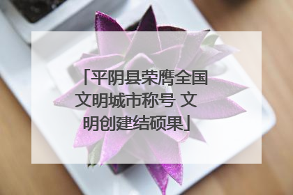 平阴县荣膺全国文明城市称号 文明创建结硕果
