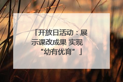 开放日活动：展示课改成果 实现“幼有优育”