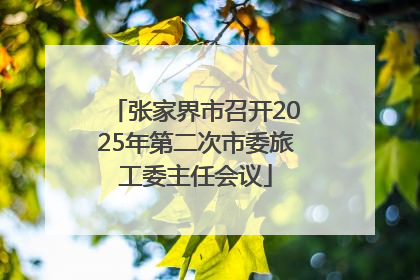 张家界市召开2025年第二次市委旅工委主任会议