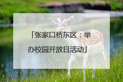 张家口桥东区：举办校园开放日活动
