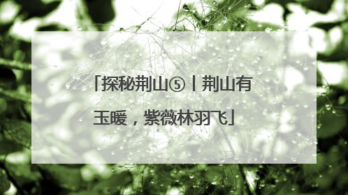 探秘荆山⑤丨荆山有玉暖，紫薇林羽飞