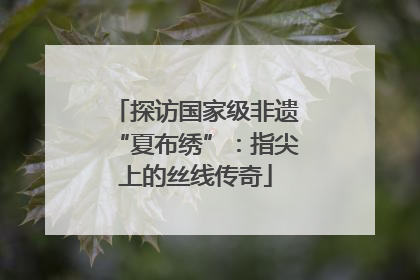 探访国家级非遗“夏布绣”：指尖上的丝线传奇