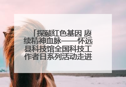 探赜红色基因 赓续精神血脉——怀远县科技馆全国科技工作者日系列活动走进怀远县实验中学