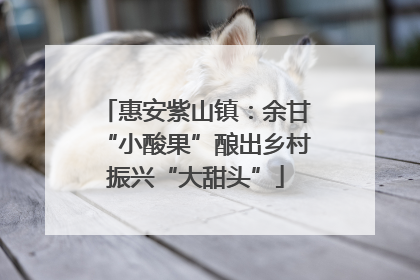 惠安紫山镇：余甘“小酸果”酿出乡村振兴“大甜头”