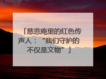 慈悲庵里的红色传声人：“我们守护的不仅是文物”