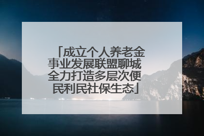 成立个人养老金事业发展联盟聊城全力打造多层次便民利民社保生态