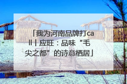 我为河南品牌打call丨应旺：品味“毛尖之都”的诗意栖居
