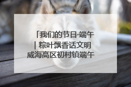 我们的节日·端午｜粽叶飘香话文明 威海高区初村镇端午系列活动亮点纷呈