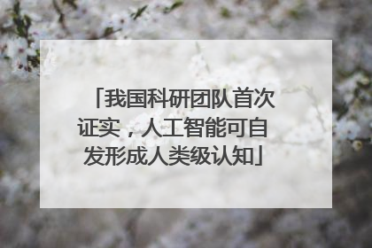 我国科研团队首次证实，人工智能可自发形成人类级认知