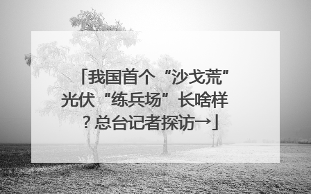 我国首个“沙戈荒”光伏“练兵场”长啥样？总台记者探访→