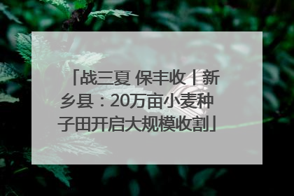 战三夏 保丰收丨新乡县：20万亩小麦种子田开启大规模收割
