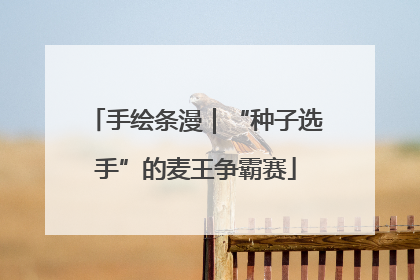 手绘条漫｜“种子选手”的麦王争霸赛