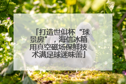打造世俱杯“球景房”，海信冰箱用真空磁场保鲜技术满足球迷味蕾