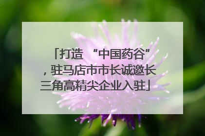 打造 “中国药谷”，驻马店市市长诚邀长三角高精尖企业入驻