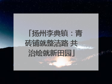 扬州李典镇：青砖铺就整洁路 共治绘就新田园