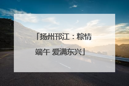 扬州邗江：粽情端午 爱满东兴