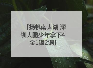 扬帆南太湖 深圳大鹏少年拿下4金1银2铜