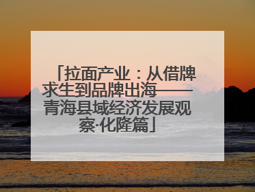 拉面产业：从借牌求生到品牌出海——青海县域经济发展观察·化隆篇