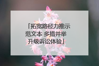 拓宽路径力推示范文本 多措并举升级诉讼体验