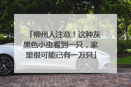 柳州人注意！这种灰黑色小虫看到一只，家里很可能已有一万只