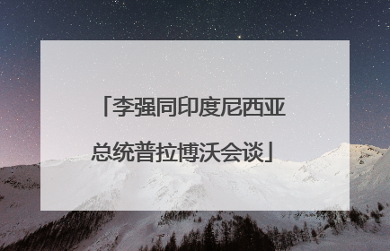 李强同印度尼西亚总统普拉博沃会谈