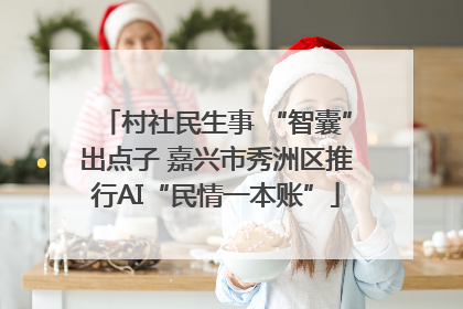 村社民生事 “智囊”出点子 嘉兴市秀洲区推行AI“民情一本账”