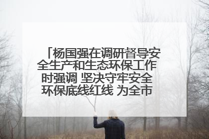 杨国强在调研督导安全生产和生态环保工作时强调 坚决守牢安全环保底线红线 为全市经济社会高质量发展提供坚强保障