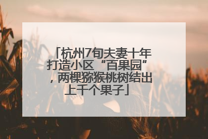 杭州7旬夫妻十年打造小区“百果园”，两棵猕猴桃树结出上千个果子