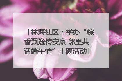 林海社区：举办“粽香飘逸传安康 邻里共话端午情”主题活动