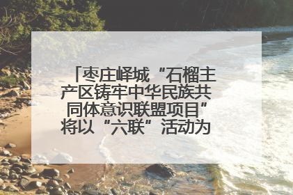 枣庄峄城“石榴主产区铸牢中华民族共同体意识联盟项目”将以“六联”活动为抓手深化品牌建设