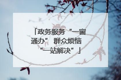 政务服务“一窗通办” 群众烦恼“一站解决”