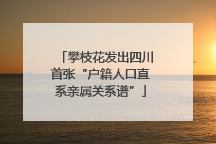 攀枝花发出四川首张“户籍人口直系亲属关系谱”