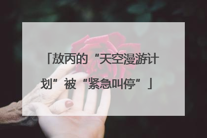 敖丙的“天空漫游计划”被“紧急叫停”