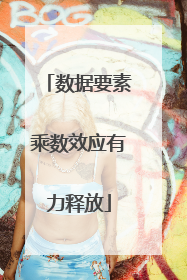 数据要素乘数效应有力释放