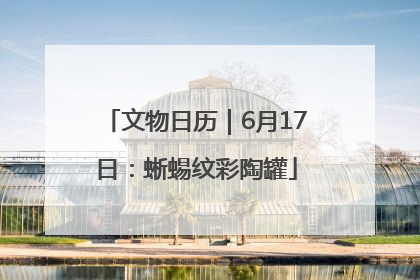 文物日历｜6月17日：蜥蜴纹彩陶罐