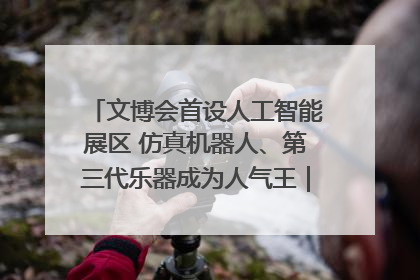 文博会首设人工智能展区 仿真机器人、第三代乐器成为人气王｜文博向“新”