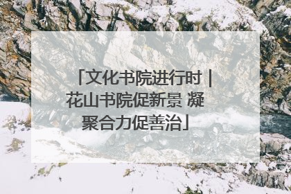 文化书院进行时｜花山书院促新景 凝聚合力促善治