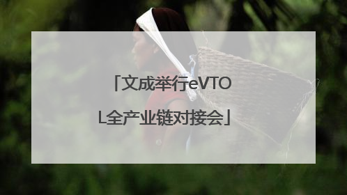 文成举行eVTOL全产业链对接会