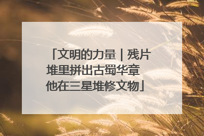 文明的力量｜残片堆里拼出古蜀华章 他在三星堆修文物