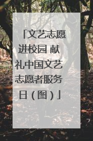 文艺志愿进校园 献礼中国文艺志愿者服务日（图）