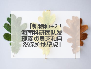 新物种+2！海南科研团队发现素贞灵芝和自然保护地壁虎