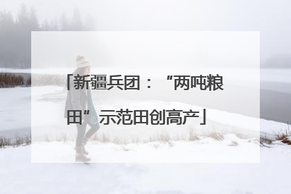 新疆兵团：“两吨粮田”示范田创高产