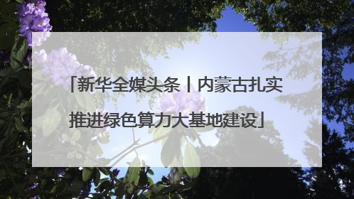 新华全媒头条丨内蒙古扎实推进绿色算力大基地建设