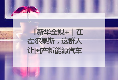 新华全媒+｜在霍尔果斯，这群人让国产新能源汽车“跑”向中亚