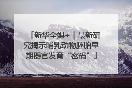 新华全媒+｜最新研究揭示哺乳动物胚胎早期器官发育“密码”