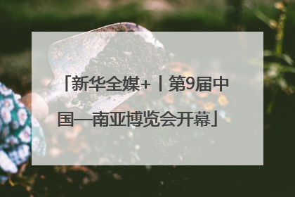 新华全媒+丨第9届中国—南亚博览会开幕