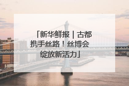 新华鲜报｜古都携手丝路！丝博会绽放新活力